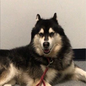 Meet your Posher, Kevin